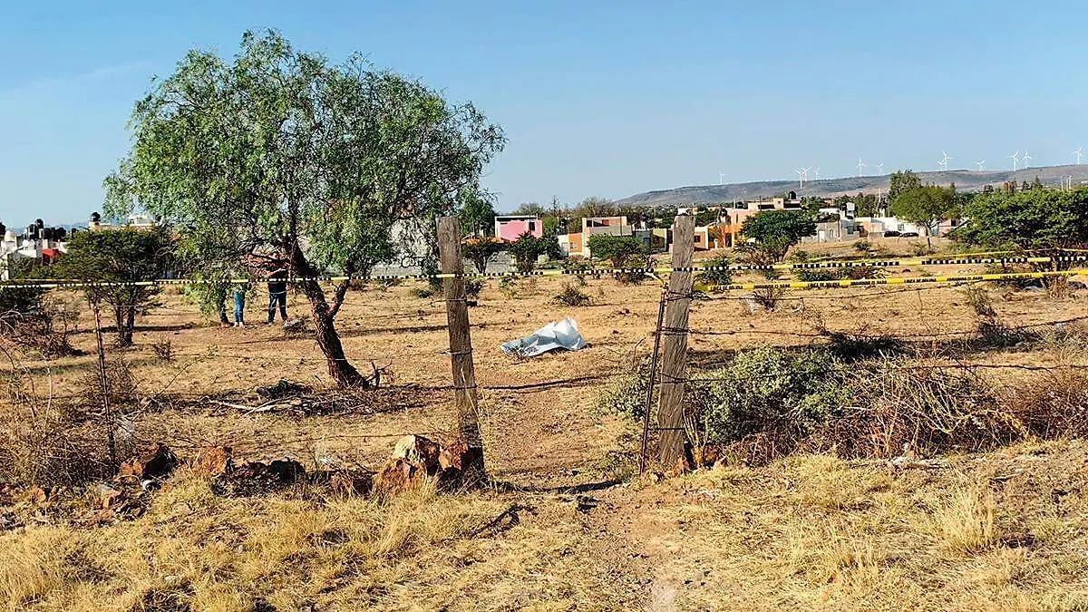 Zona de intervención en un predio